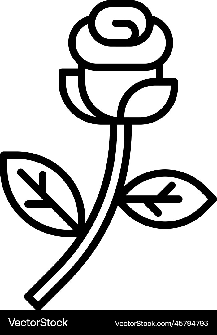 Rose icon valentines day related Royalty Free Vector Image