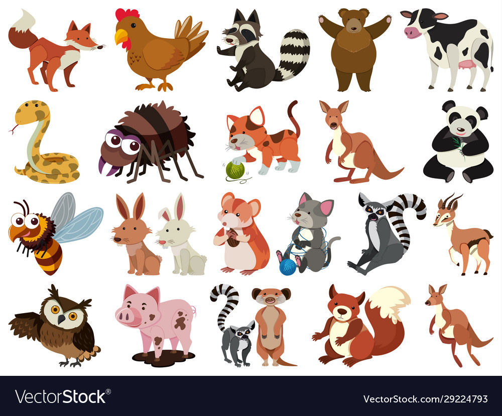 Set isolated objects theme animals