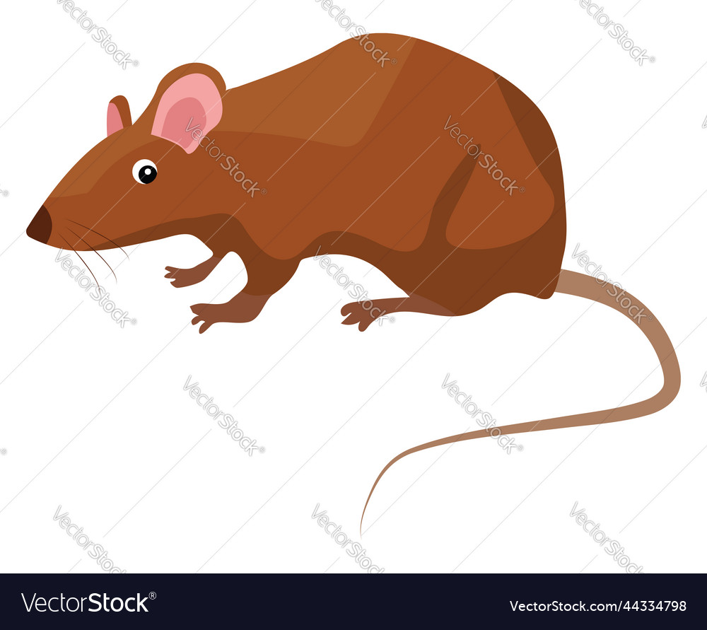 Brown mice on a white background Royalty Free Vector Image