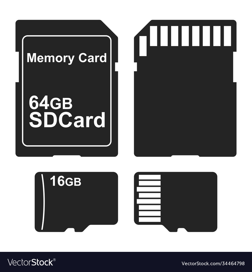 Sd and micro memory card icon isolated vector image Sd and micro memory card icon isolated