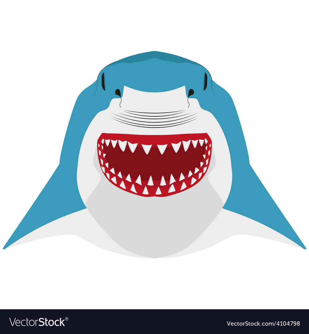 Shark mascot sport symbol