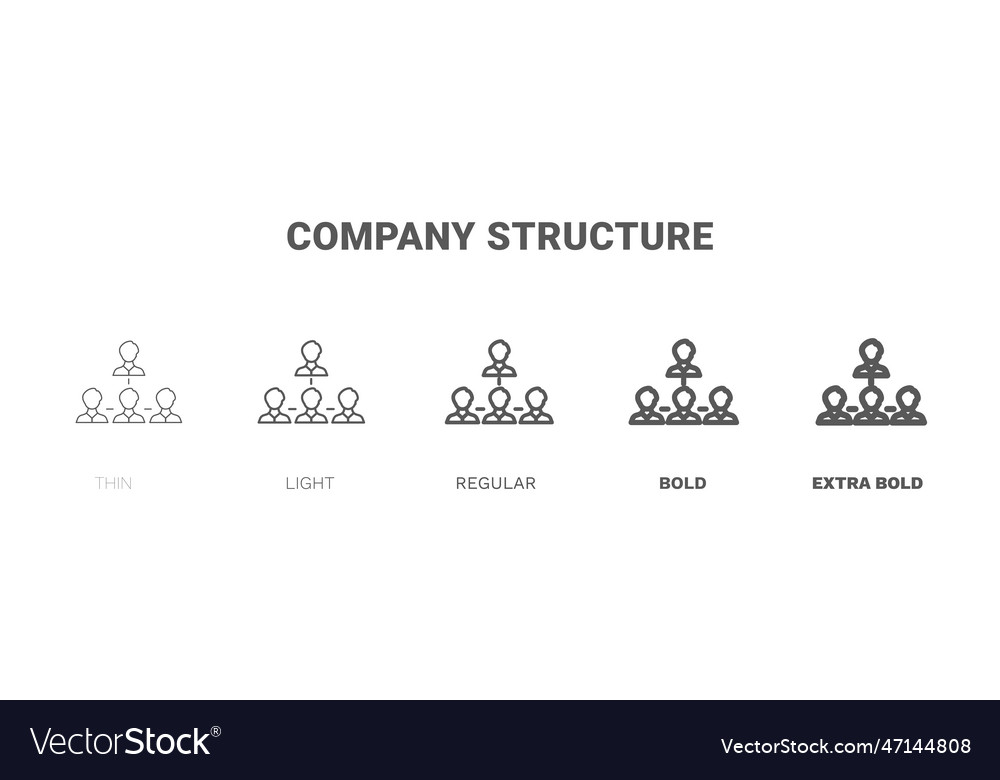 Company structure icon thin regular bold and more Vector Image