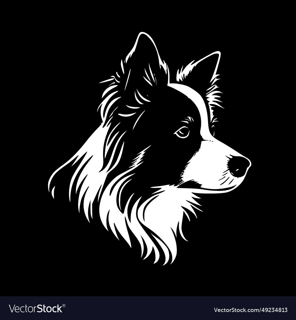 Border collie - minimalist and flat logo