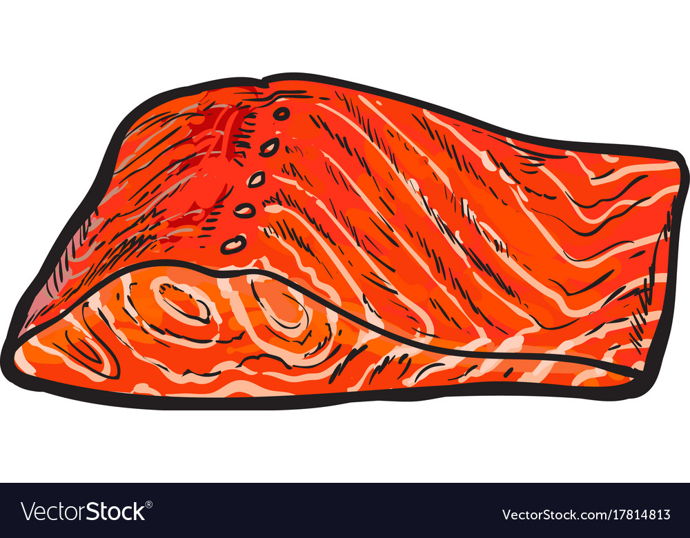 Sea red salmon fish meat fillet isolated