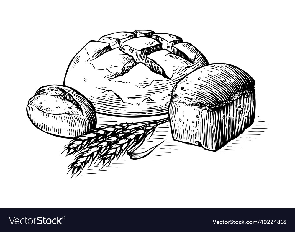 Bread hand drawn set other Royalty Free Vector Image