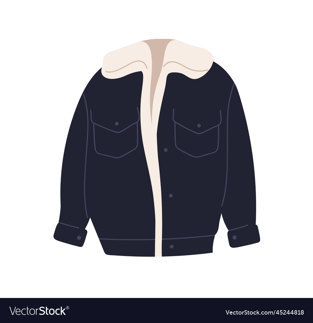 Modern warm jacket winter and fall clothes Vector Image