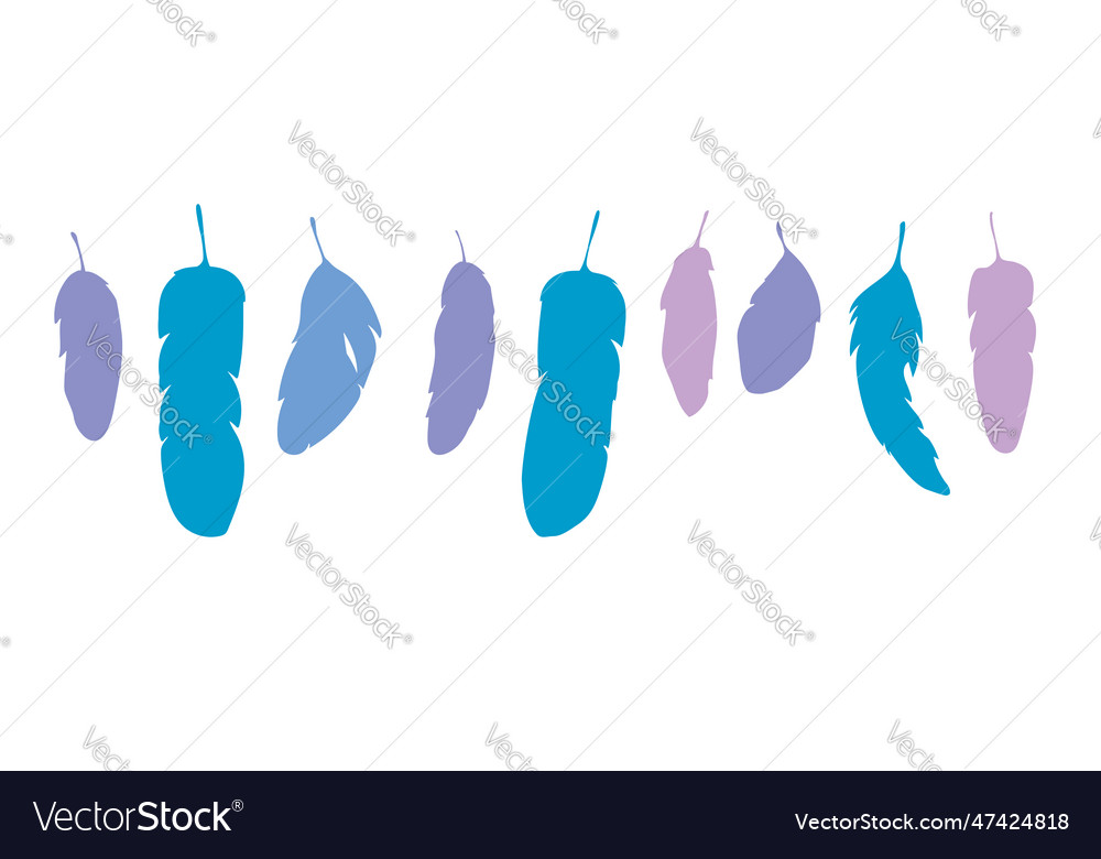 Set feathers of different shapes and sizes