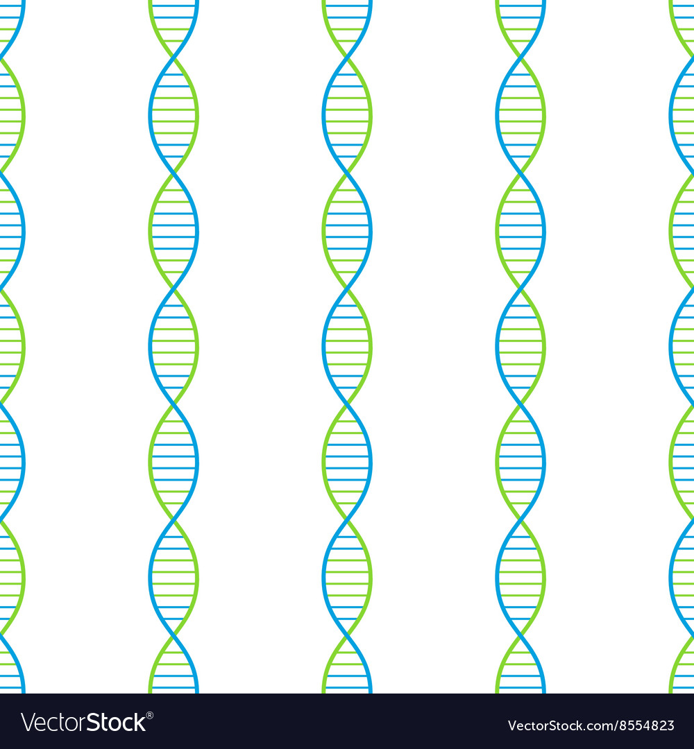 Dna seamless background Royalty Free Vector Image