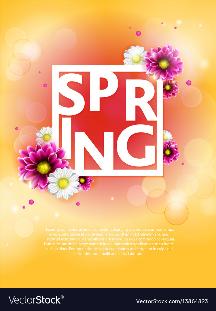 Spring background with beautiful colorful flower