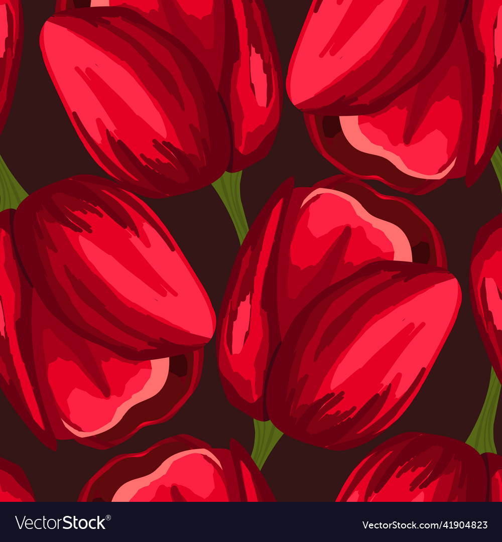 Spring colorful with red vector image Spring colorful with red