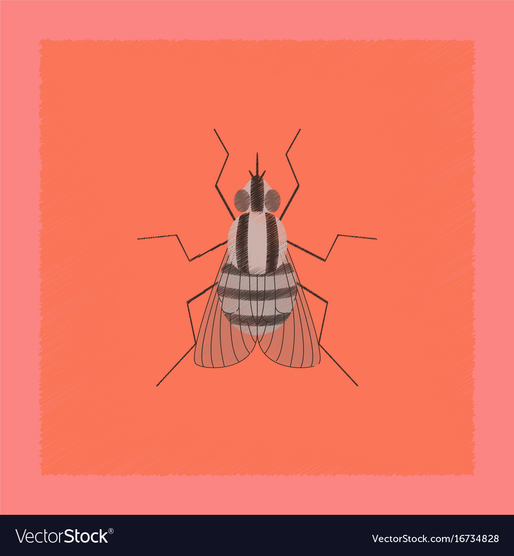 Flat shading style insect fly