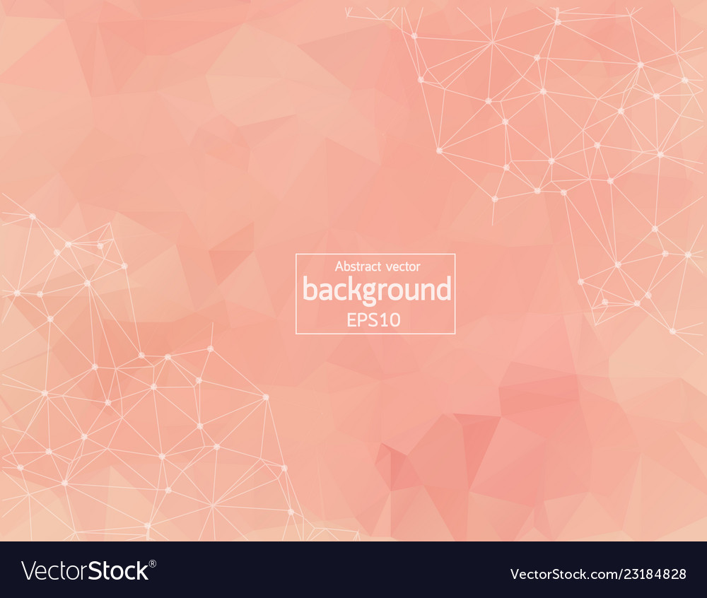 Light pink background with dots and lines design vector image Light pink background with dots and lines design