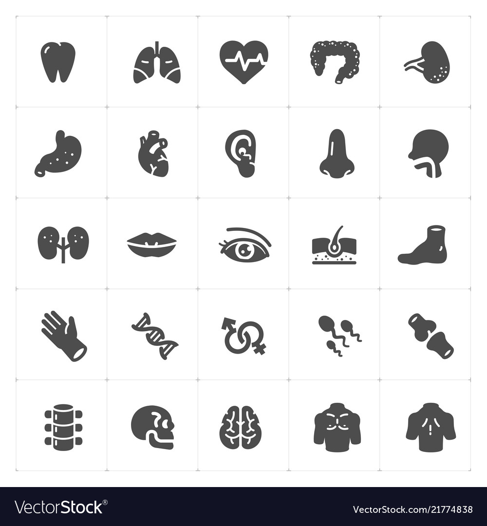 Icon set - human anatomy filled