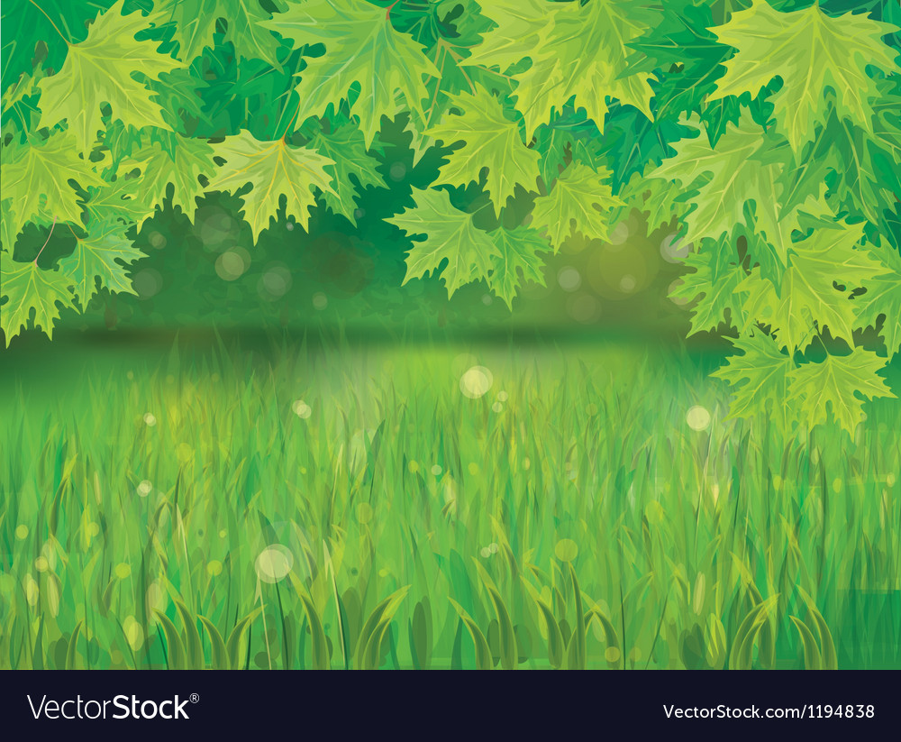 Spring background