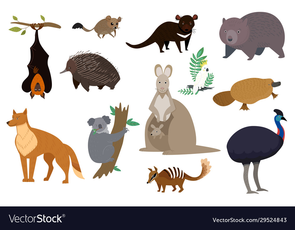 Australian animals set isolated cartoon Royalty Free Vector