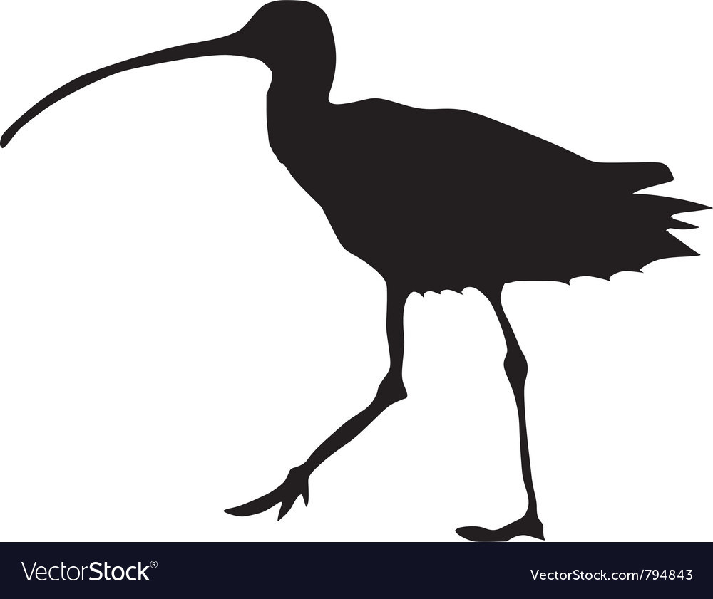 Curlew Silhouette