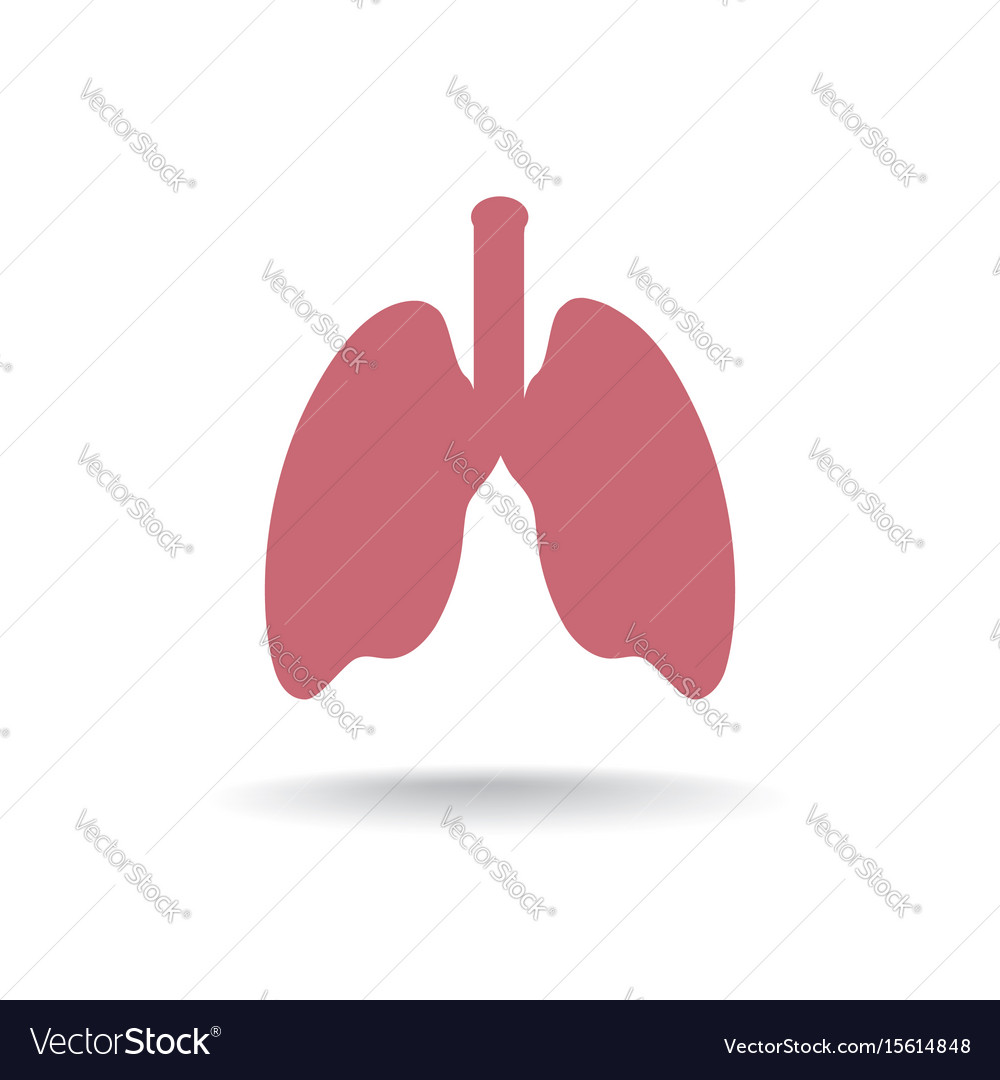 Human Lung Anatomie Icon
