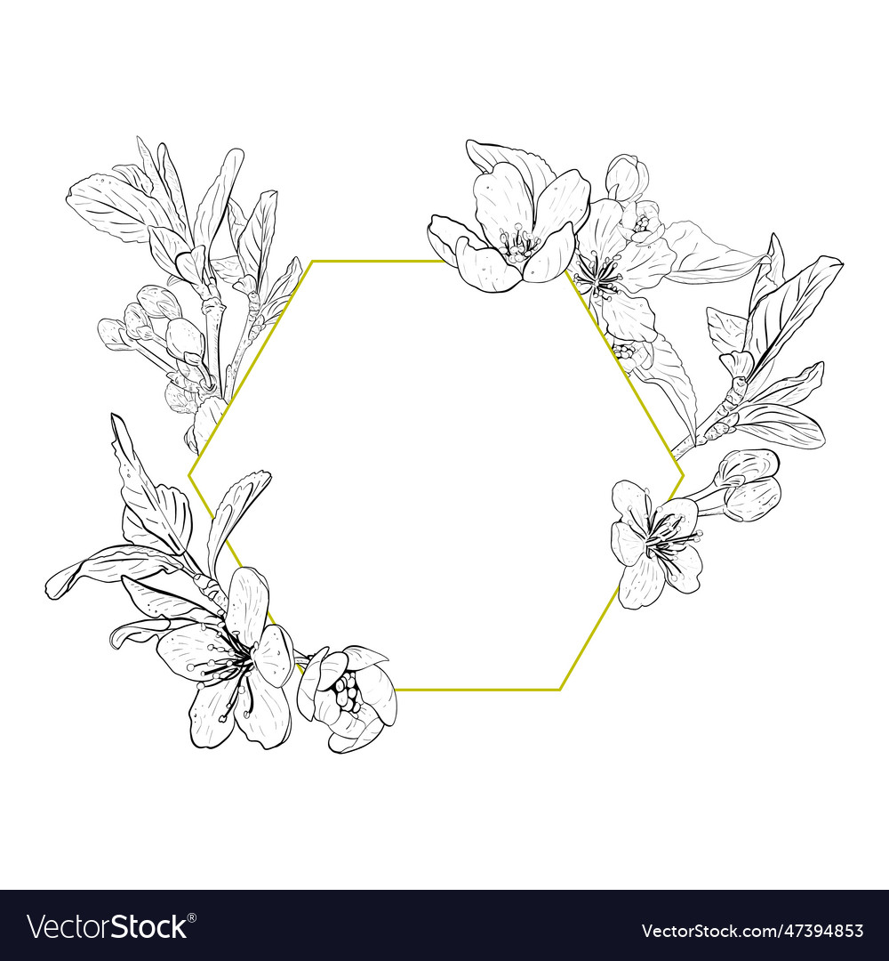 Frame composition with flowers Royalty Free Vector Image