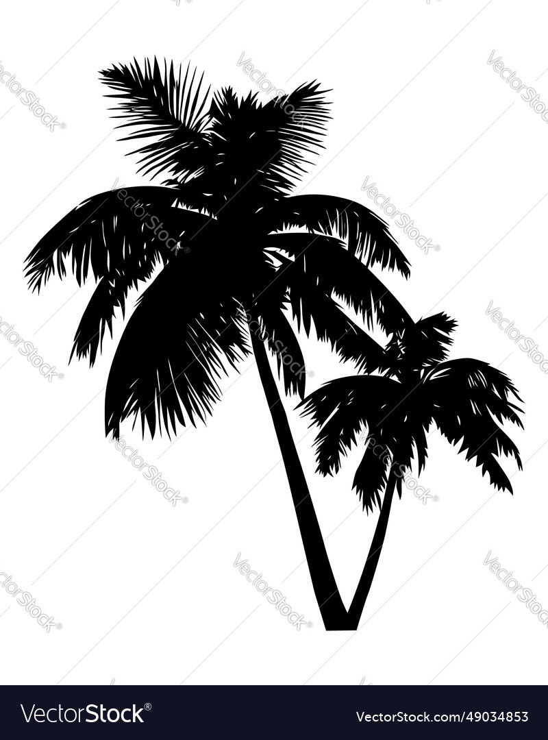 Palm tree silhouette isolated on white background Vector Image