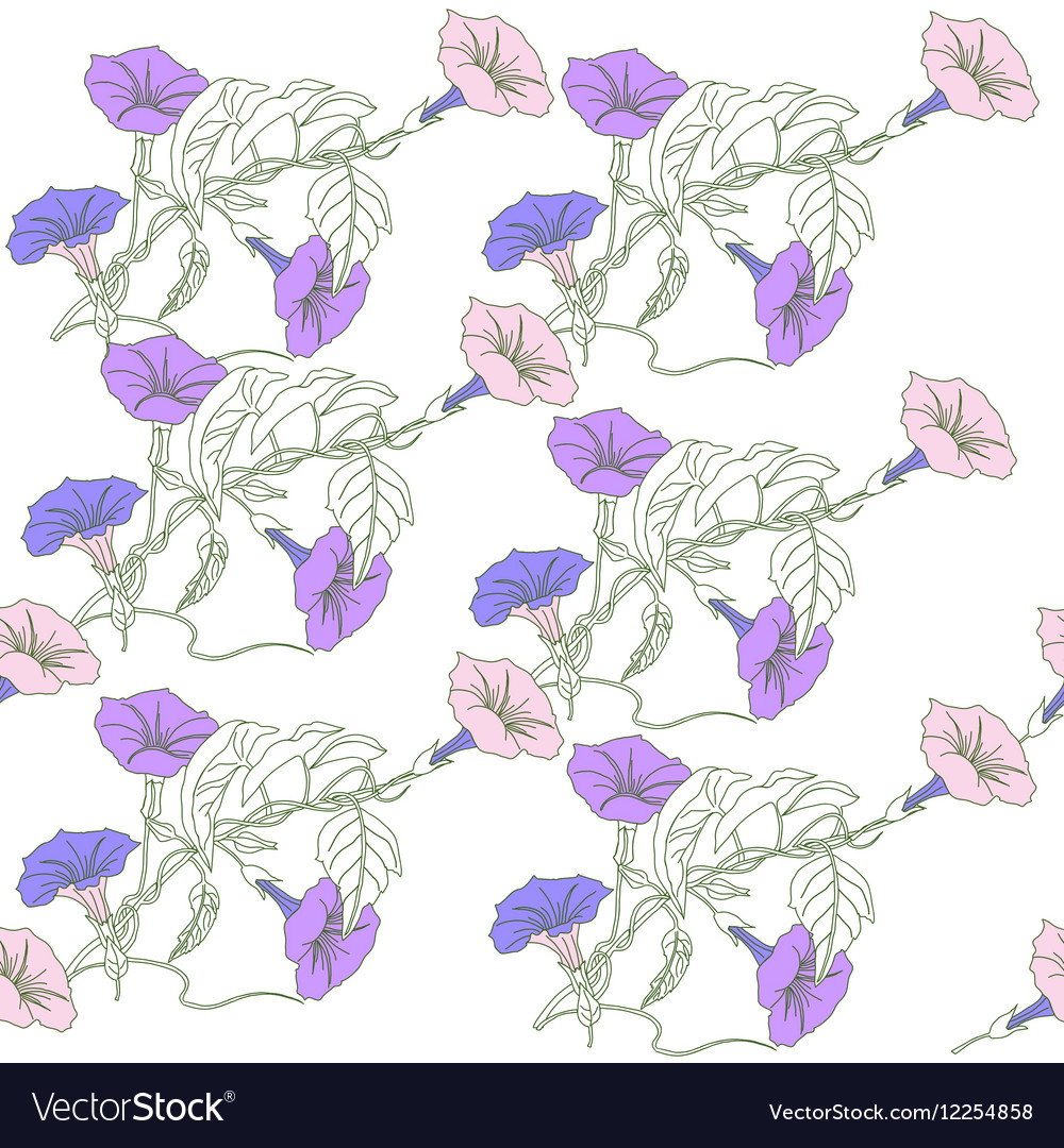 Seamless pattern with blue pink bindweed