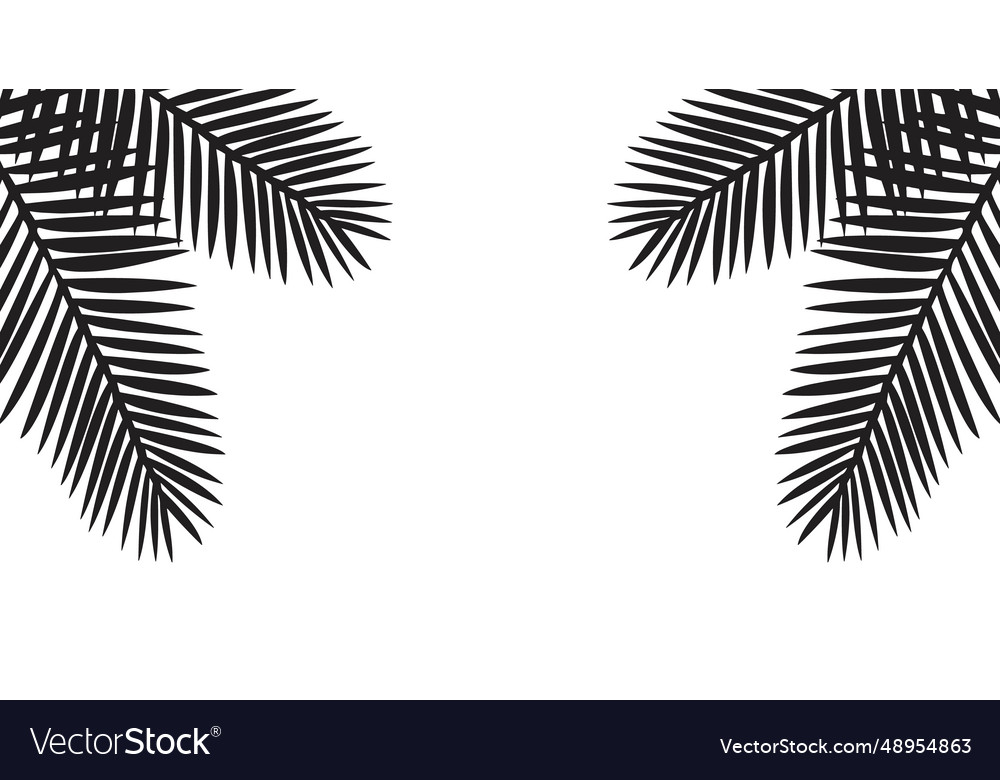 Black leaves of palm tree Royalty Free Vector Image