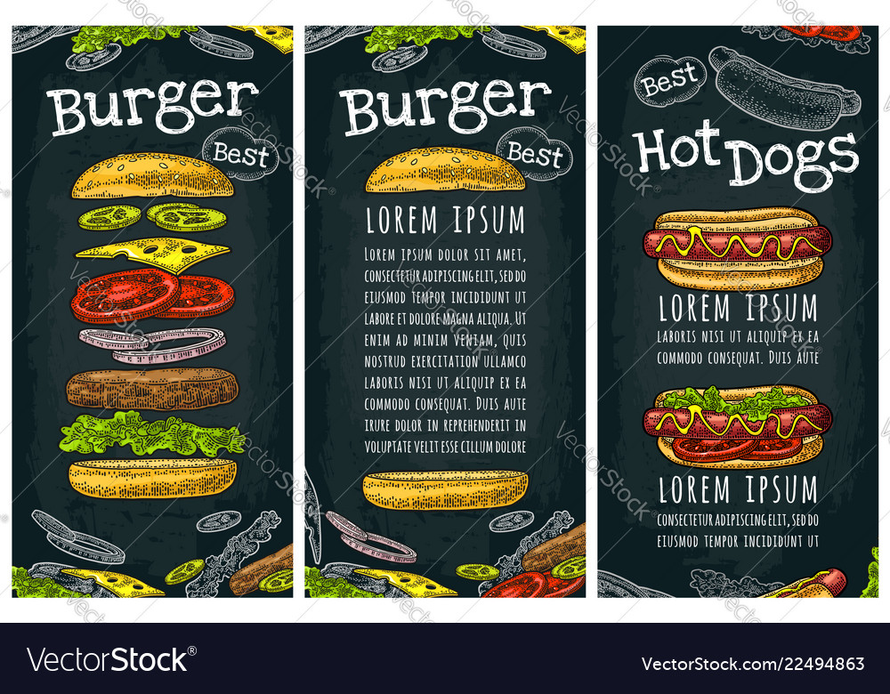 Hotdog with tomato mustard leave lettuce burger Vector Image