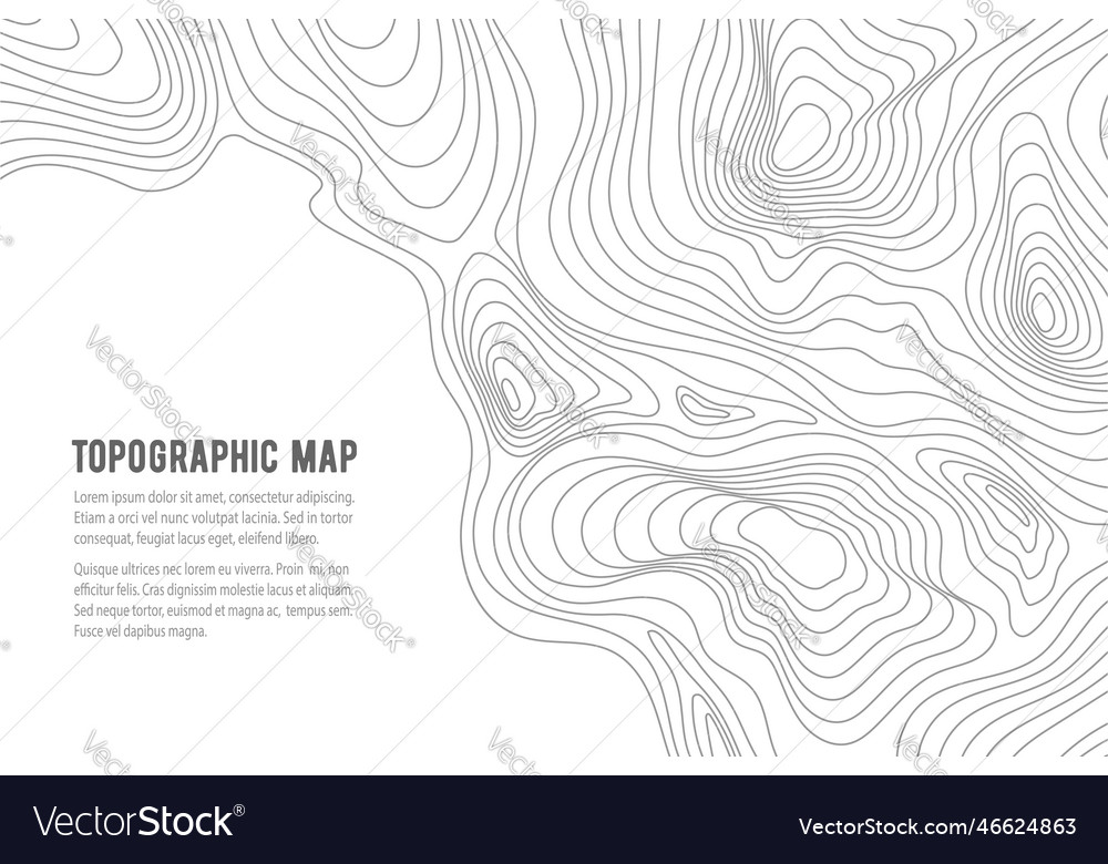 Topographic map grid texture relief contour Vector Image