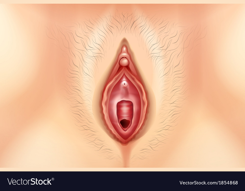 Vagina Pic