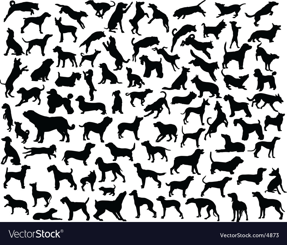 Dog Breed Outline Svg