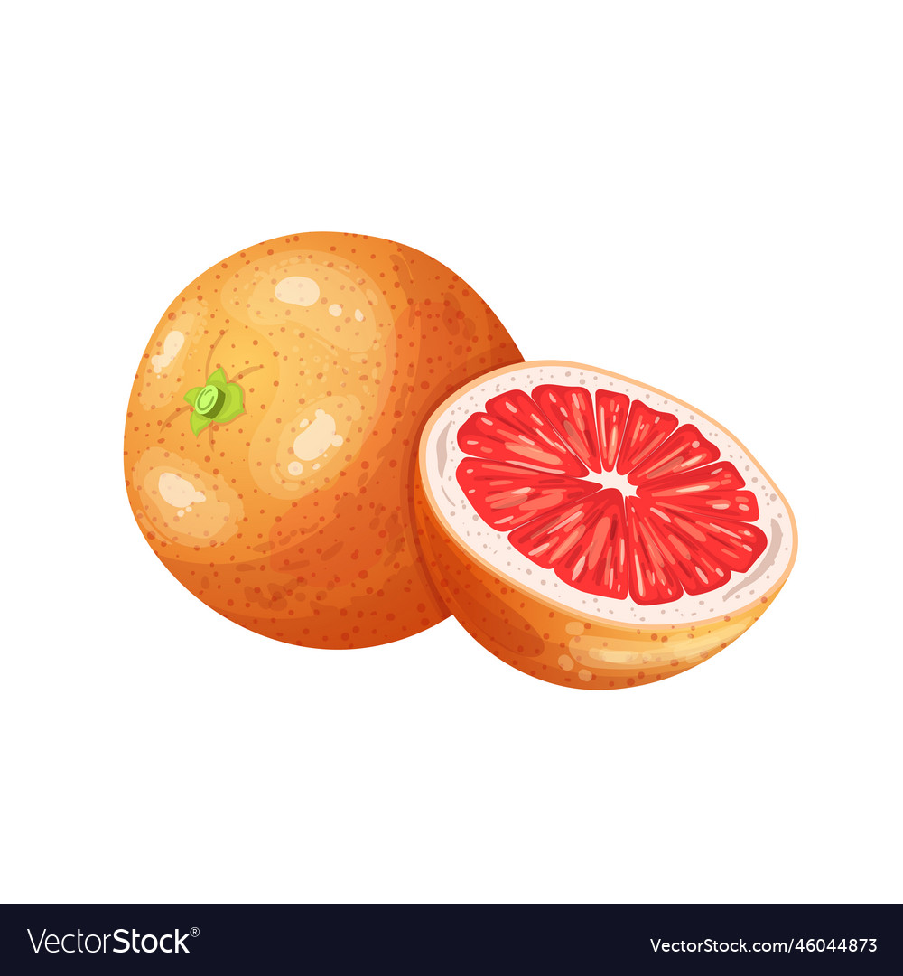 Grapefruit fruit cut cartoon Royalty Free Vector Image