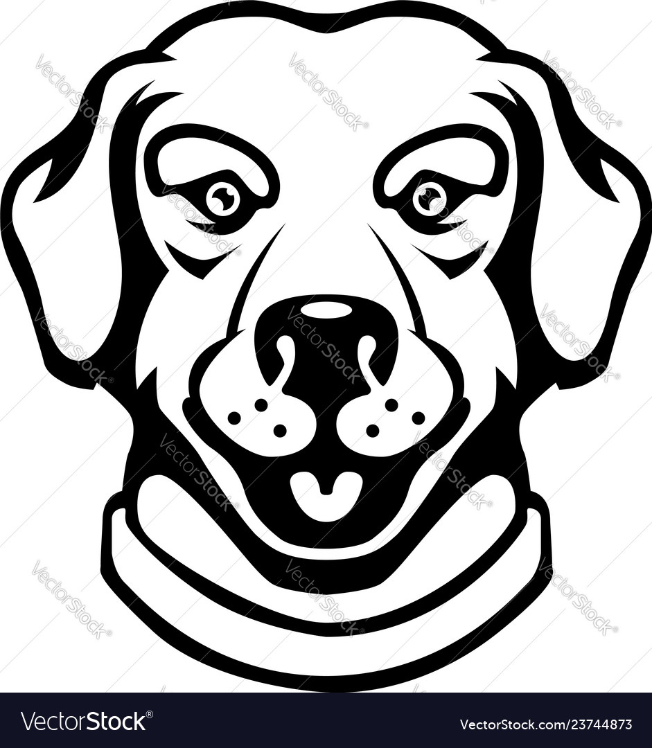 Labrador head in engraving style design element vector image Labrador head in engraving style design element