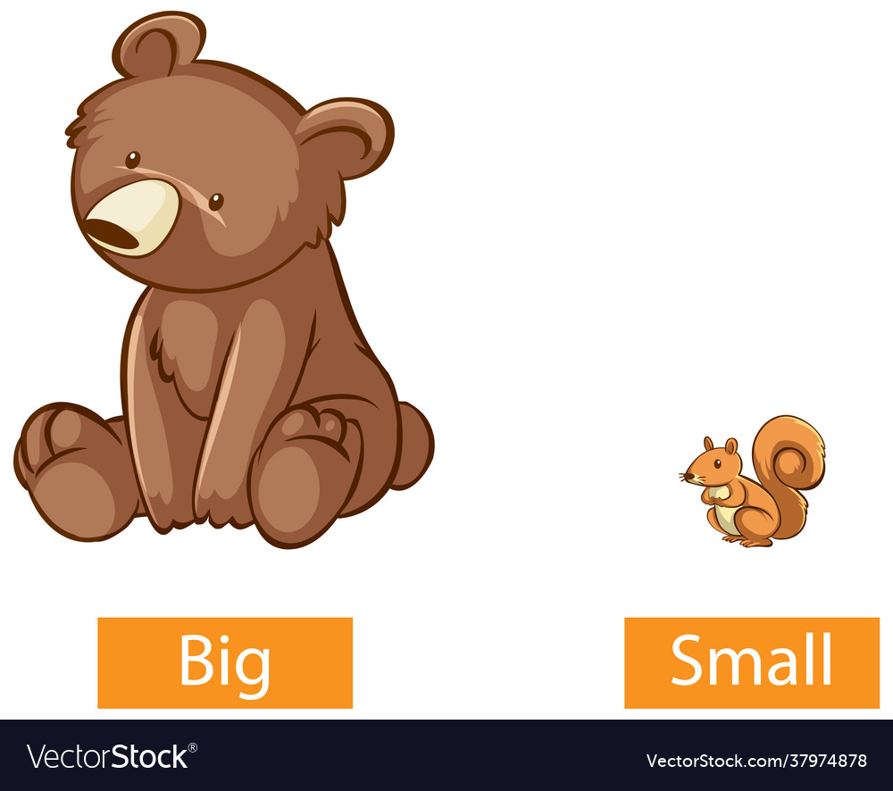 Premium Vector  Opposite words for big and small