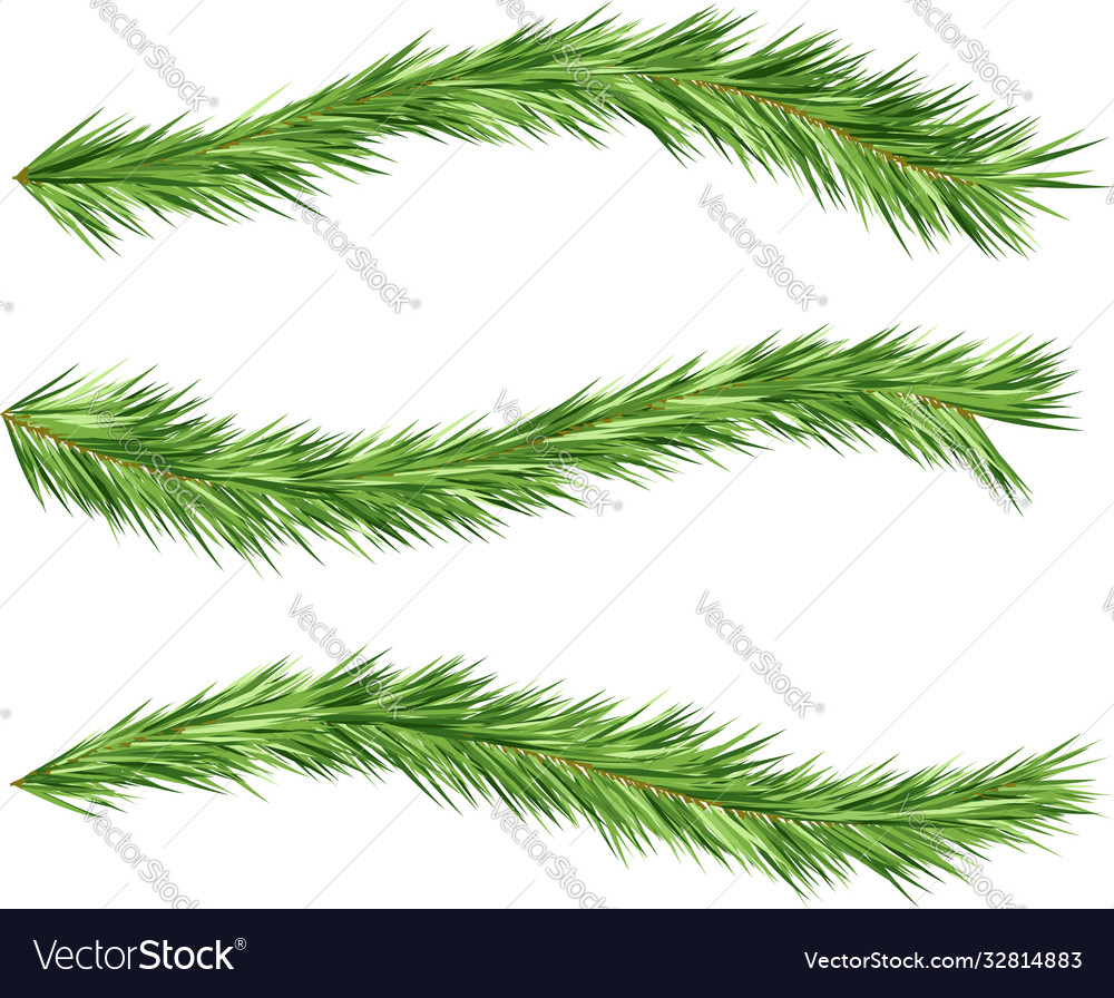 Christmas Tree Decorations Fir Branches Design Vector Image