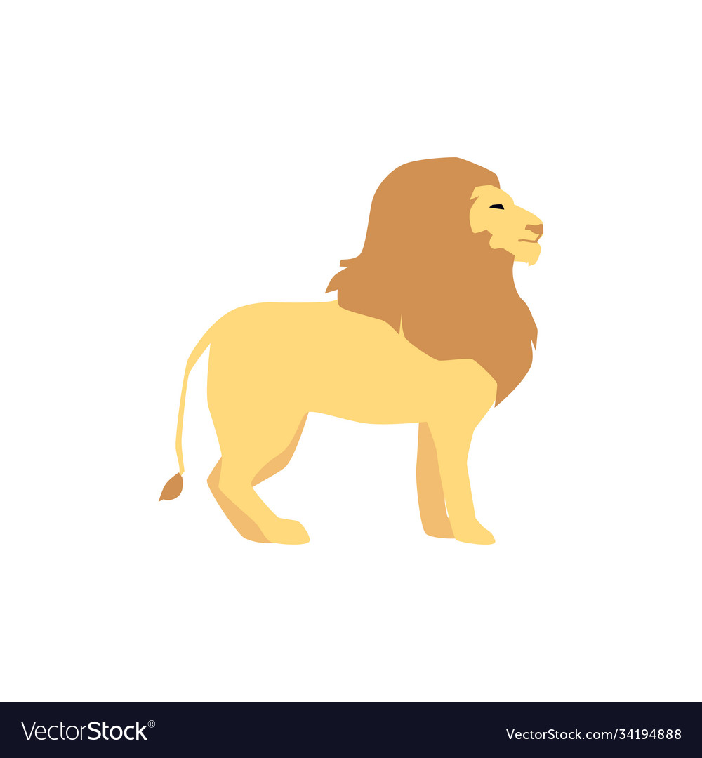 African safari tour wild lion flat cartoon