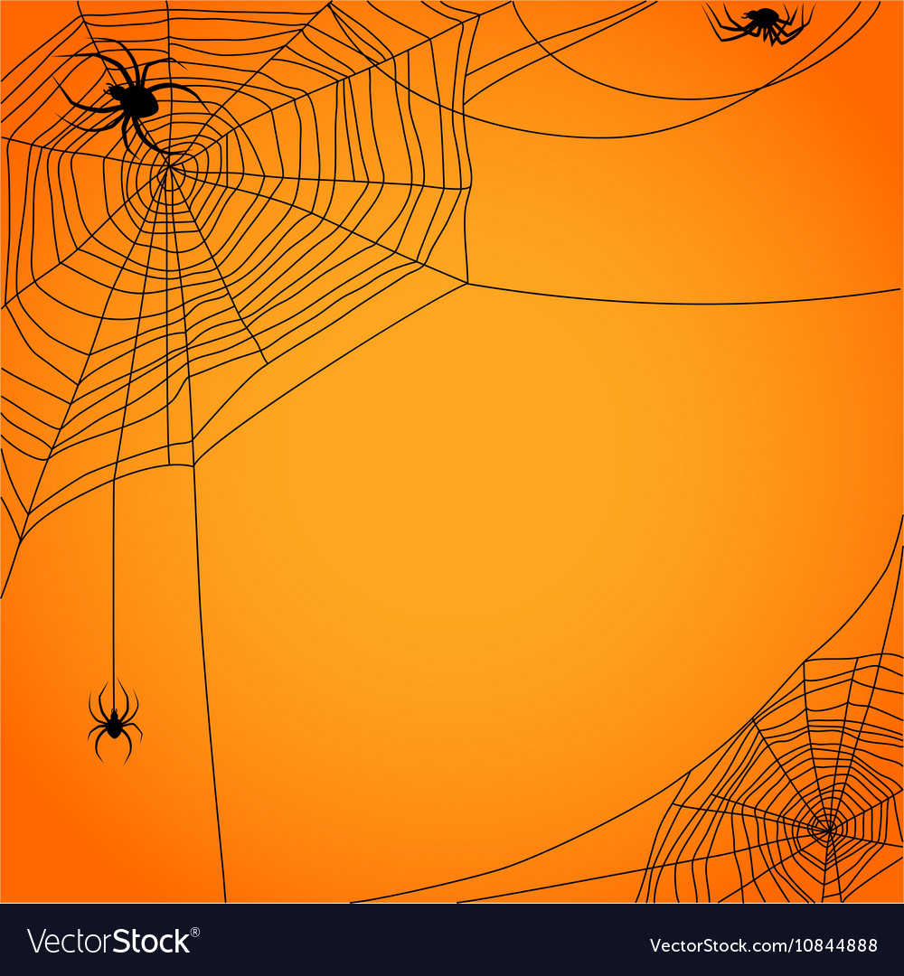 Cobweb with spiders Royalty Free Vector Image - VectorStock