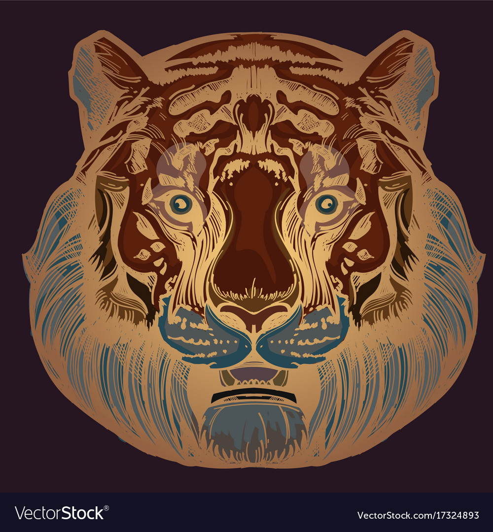 Muzzle of a tiger for creating sketches