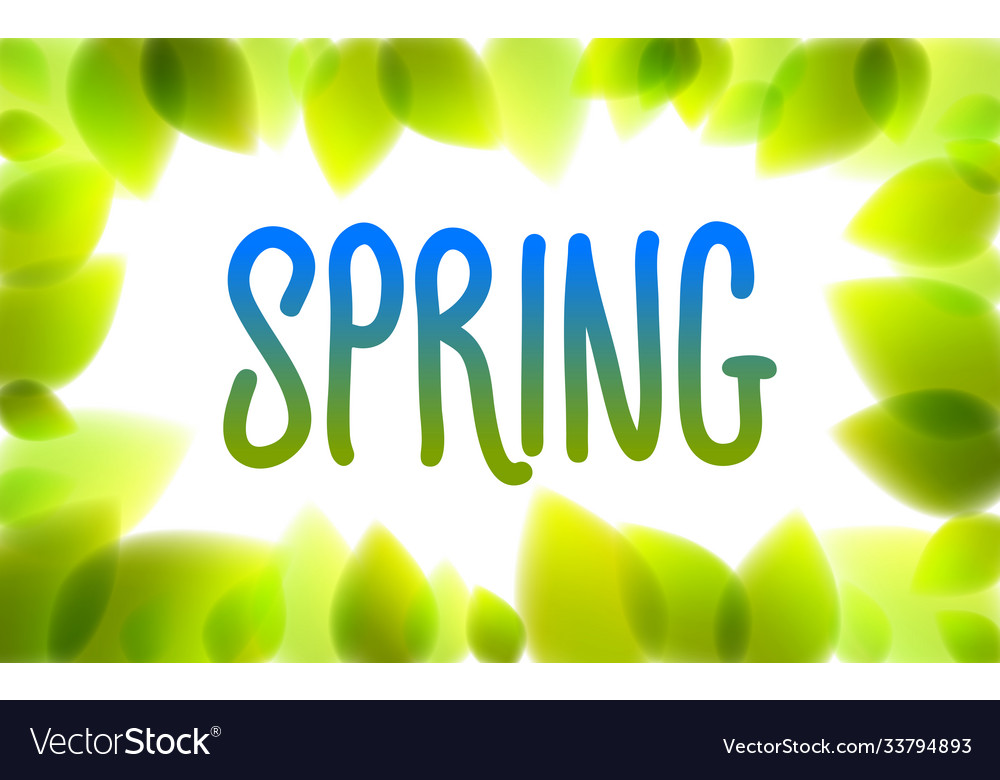 Spring word drawn on a window fresh green leaves Vector Image
