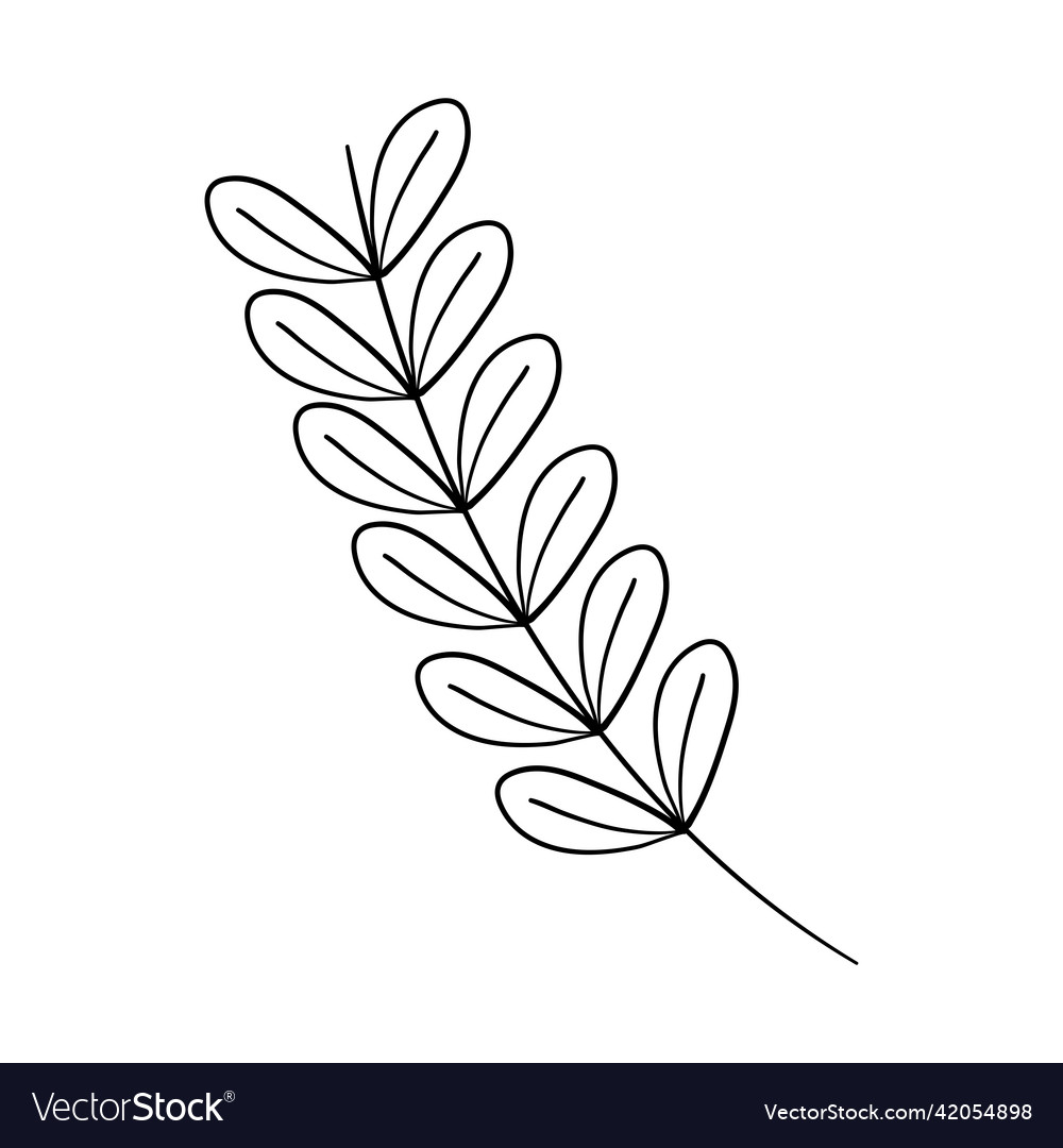 Decorative leaves branch Royalty Free Vector Image