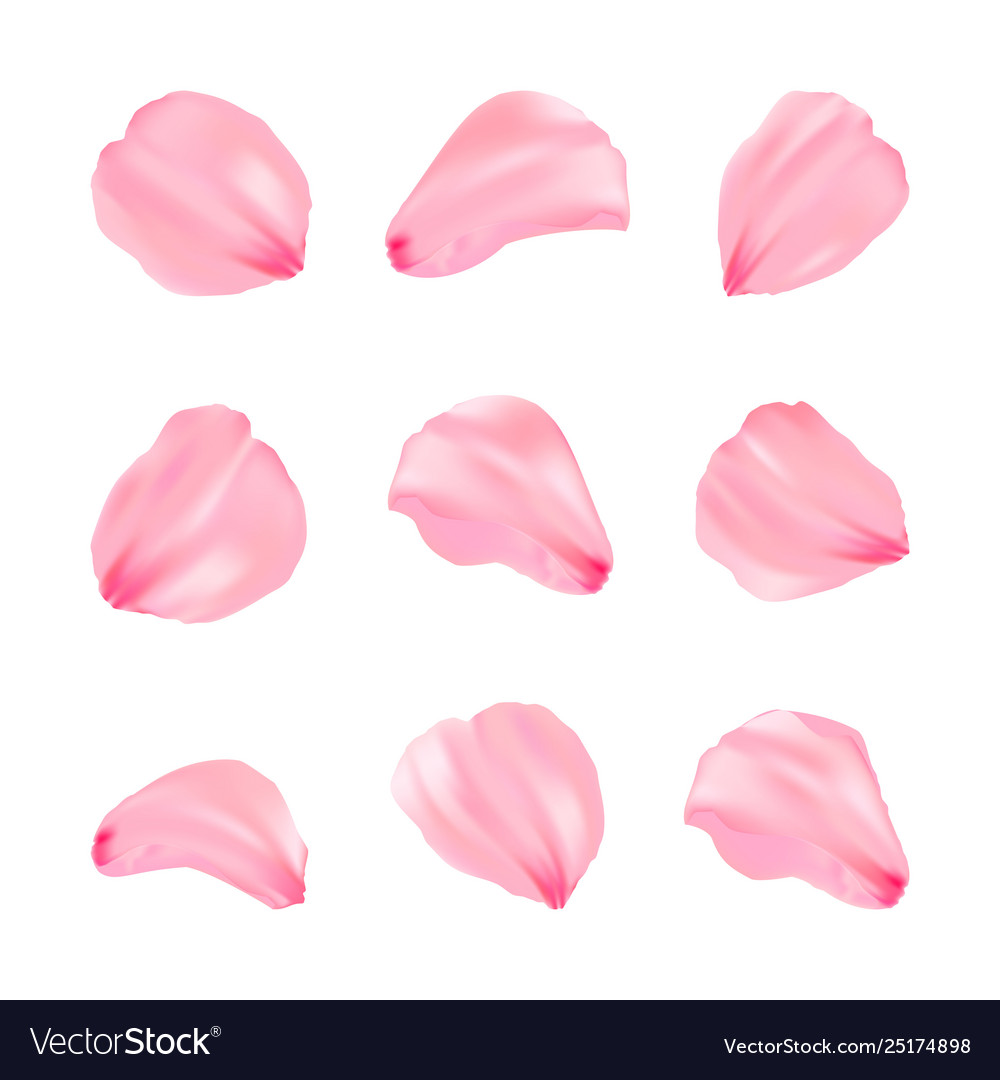 Pink Sakura Petals - Romantic Blossom