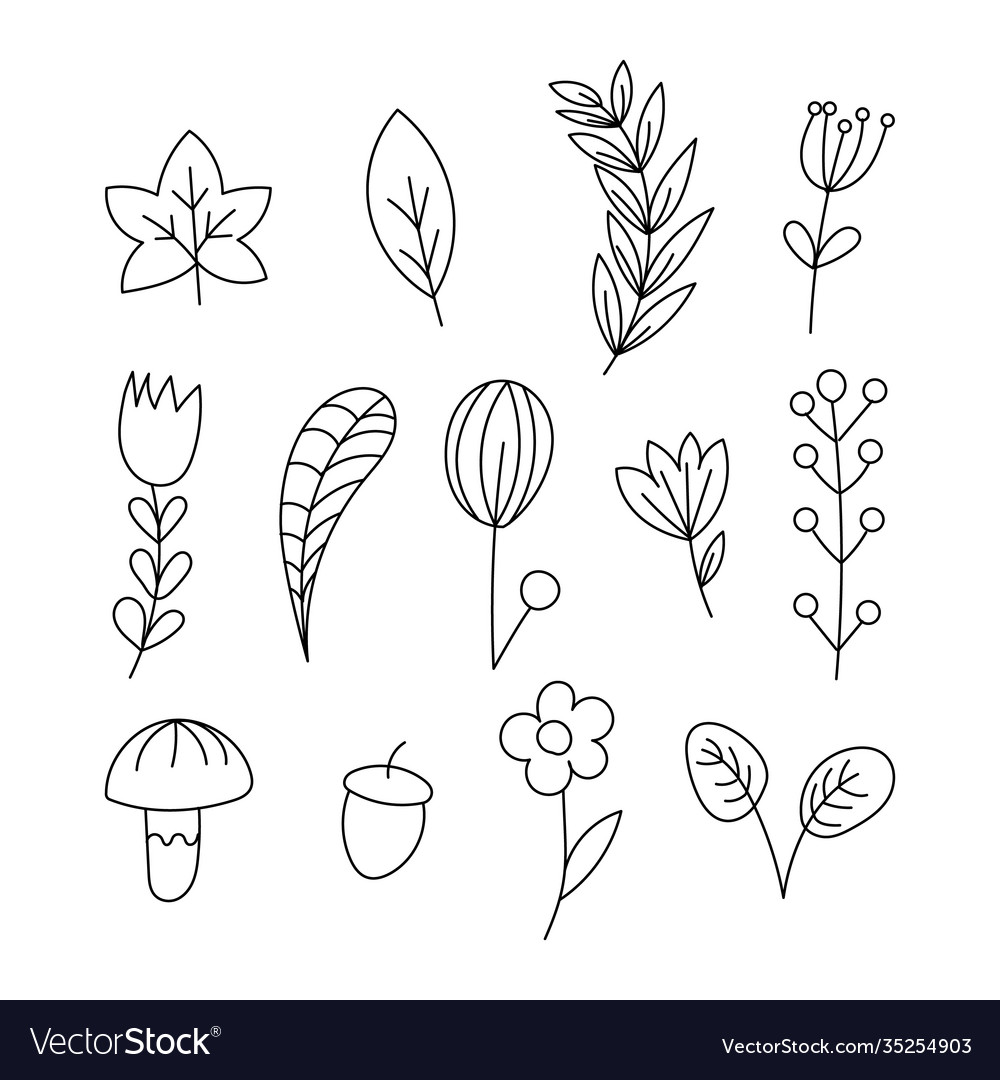 Hand drawn floral leaves elements made