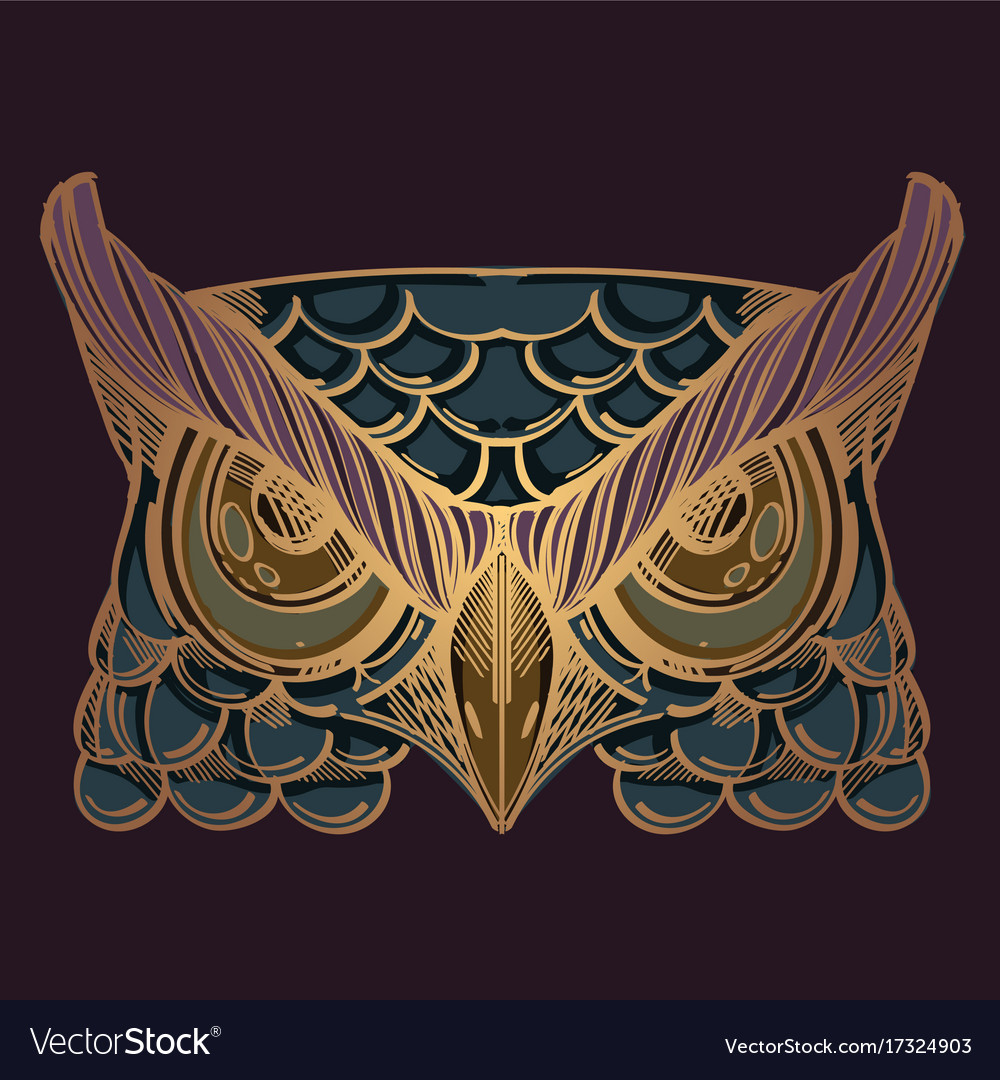 Muzzle of an owl for creating sketches tattoos