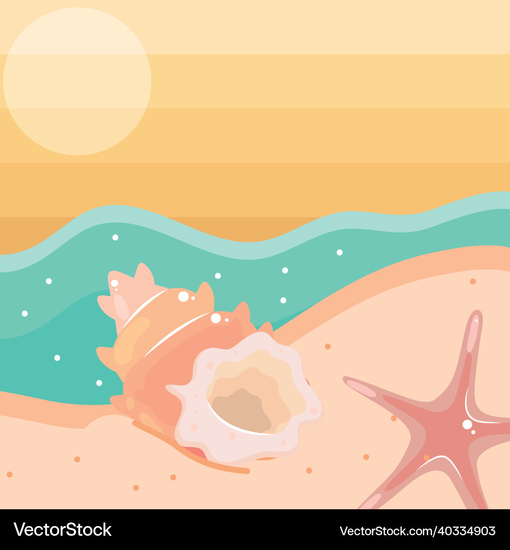 Shell and starfish Royalty Free Vector Image - VectorStock