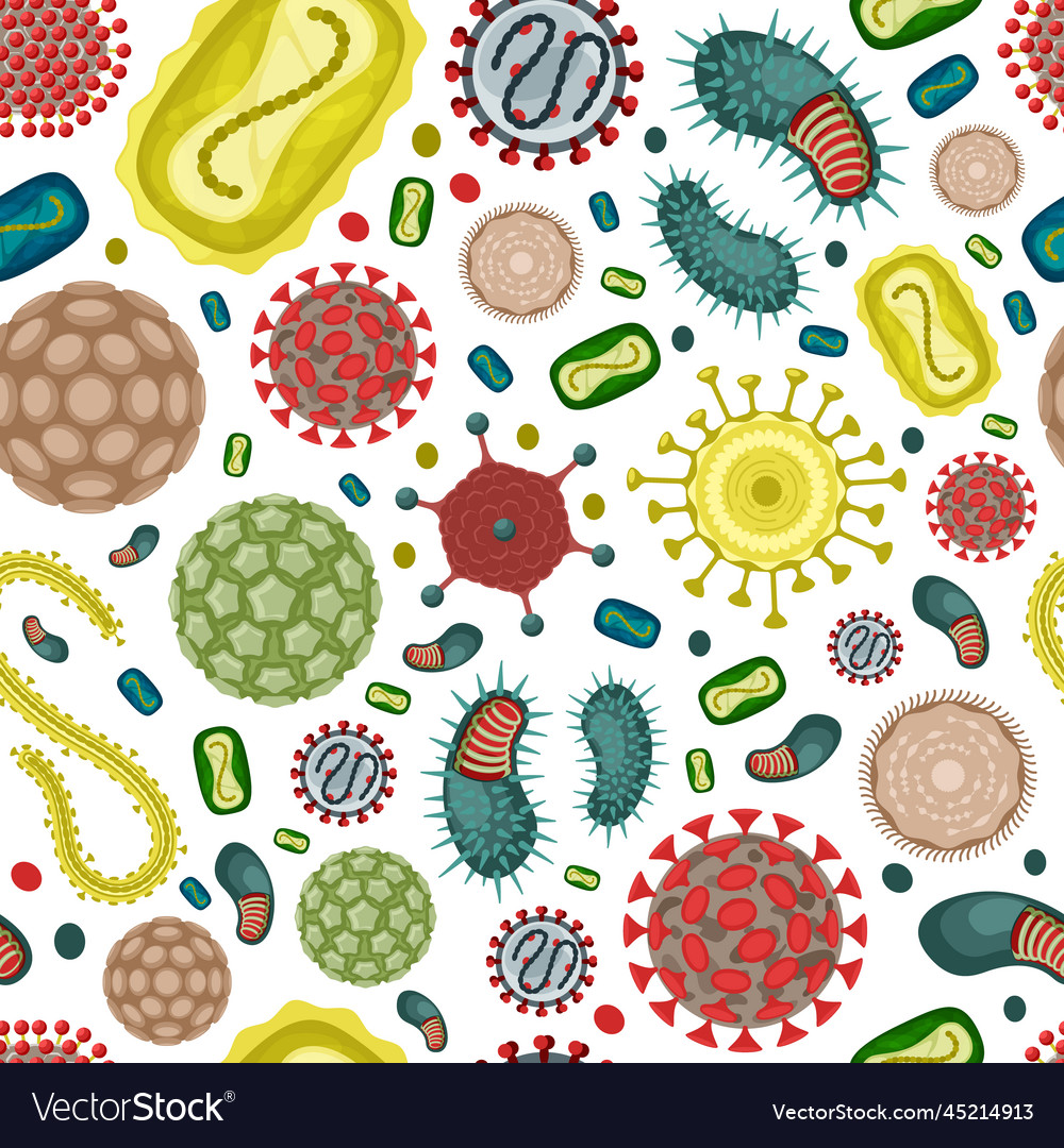 Bacterias pattern human bacterium microbiology