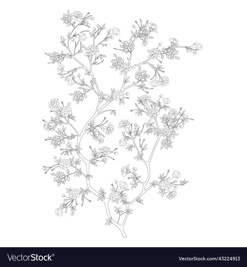 Camellia Blütenbaum Clip Kunstelement für Design vector image Camellia Blütenbaum Clip Kunstelement für Design