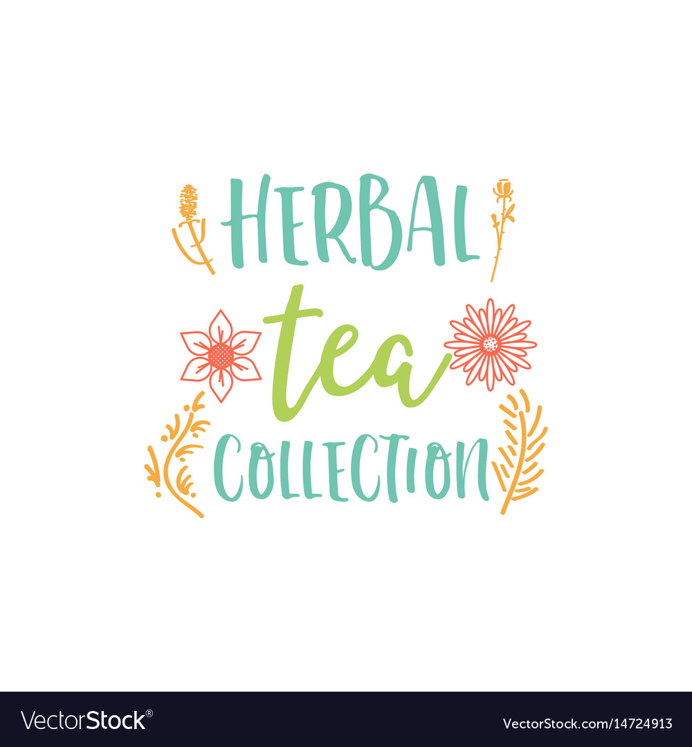 Herbal tea collection badge design sticker Vector Image