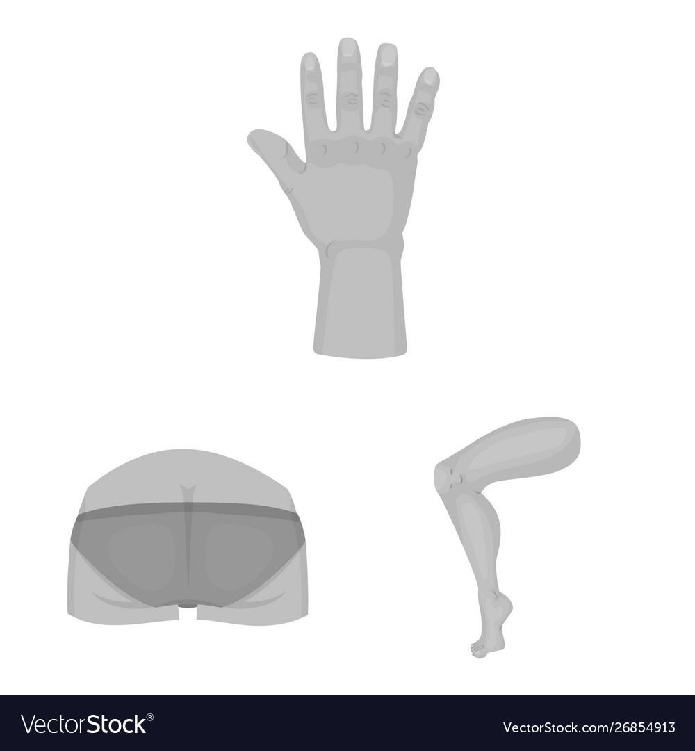 Isolated object body and part icon set vector image Isolated object body and part icon set
