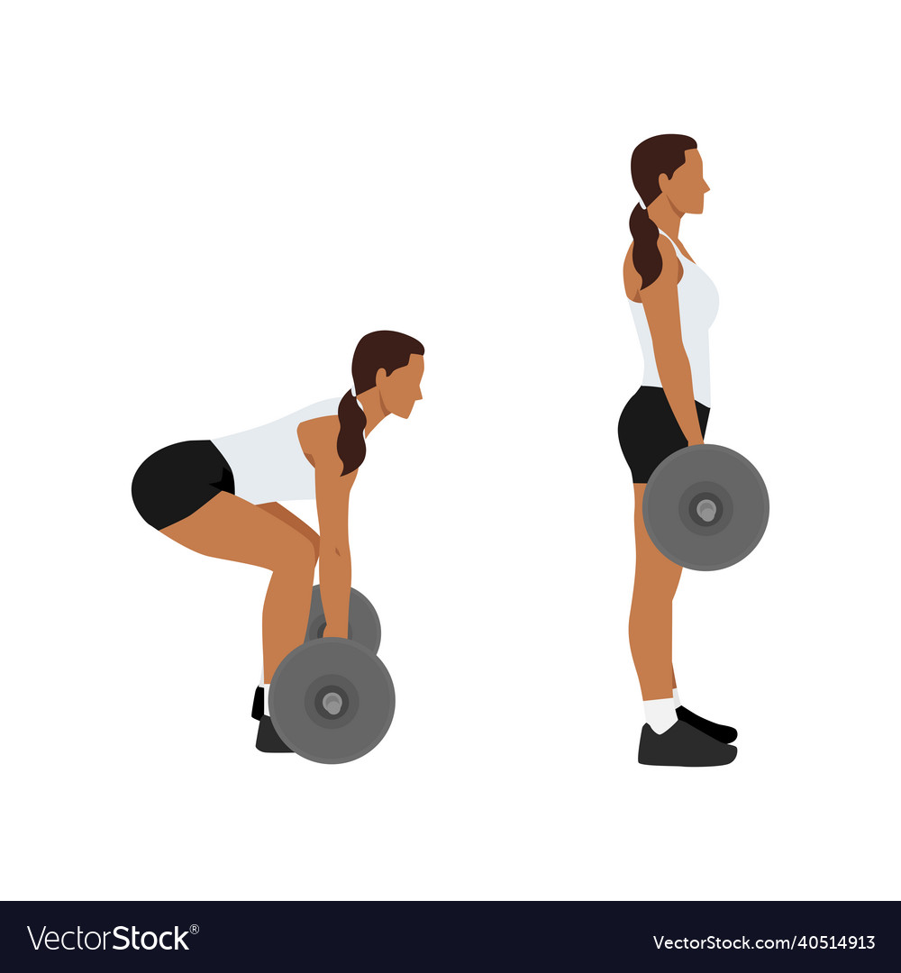 Woman doing Sumo Barbell deadlifts exercise. Flat vector illustration  isolated on white background 6417689 Vector Art at Vecteezy