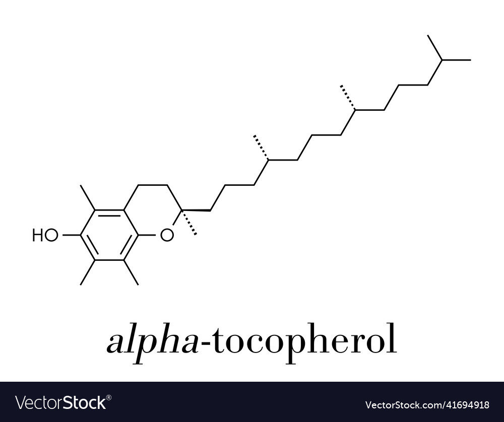 Vitamin e alpha tocopherol molecule skeletal Vector Image