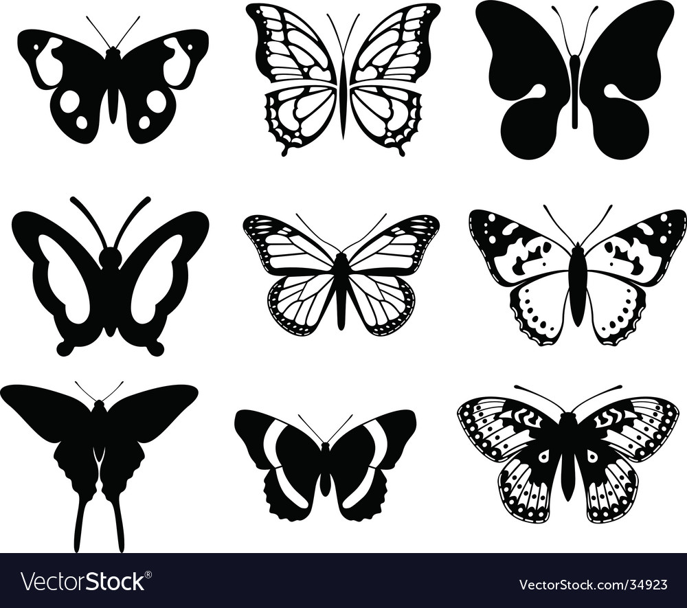 Download Butterfly Royalty Free Vector Image - VectorStock