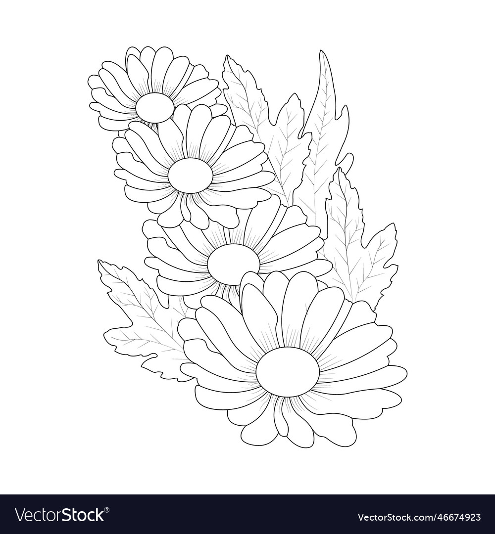 Daisy flower coloring page for kids Royalty Free Vector